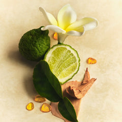 Hair & Body Mist B9