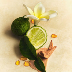 Scent Layering Trio Z1
